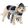 Frisco Spider Dog & Cat Costume 2 Frisco Spider Dog & Cat Costume -Chewy 335017 MAIN. AC SS1800 V1658718137