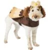 Frisco Owl Dog & Cat Costume 1 Frisco Owl Dog & Cat Costume -Chewy 335055 MAIN. AC SS1800 V1658717776