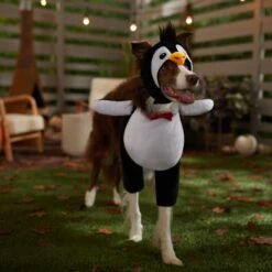 Frisco Front Walking Penguin Dog & Cat Costume 16 Frisco Front Walking Penguin Dog & Cat Costume -Chewy 335062 PT7. AC SS1800 V1657718971