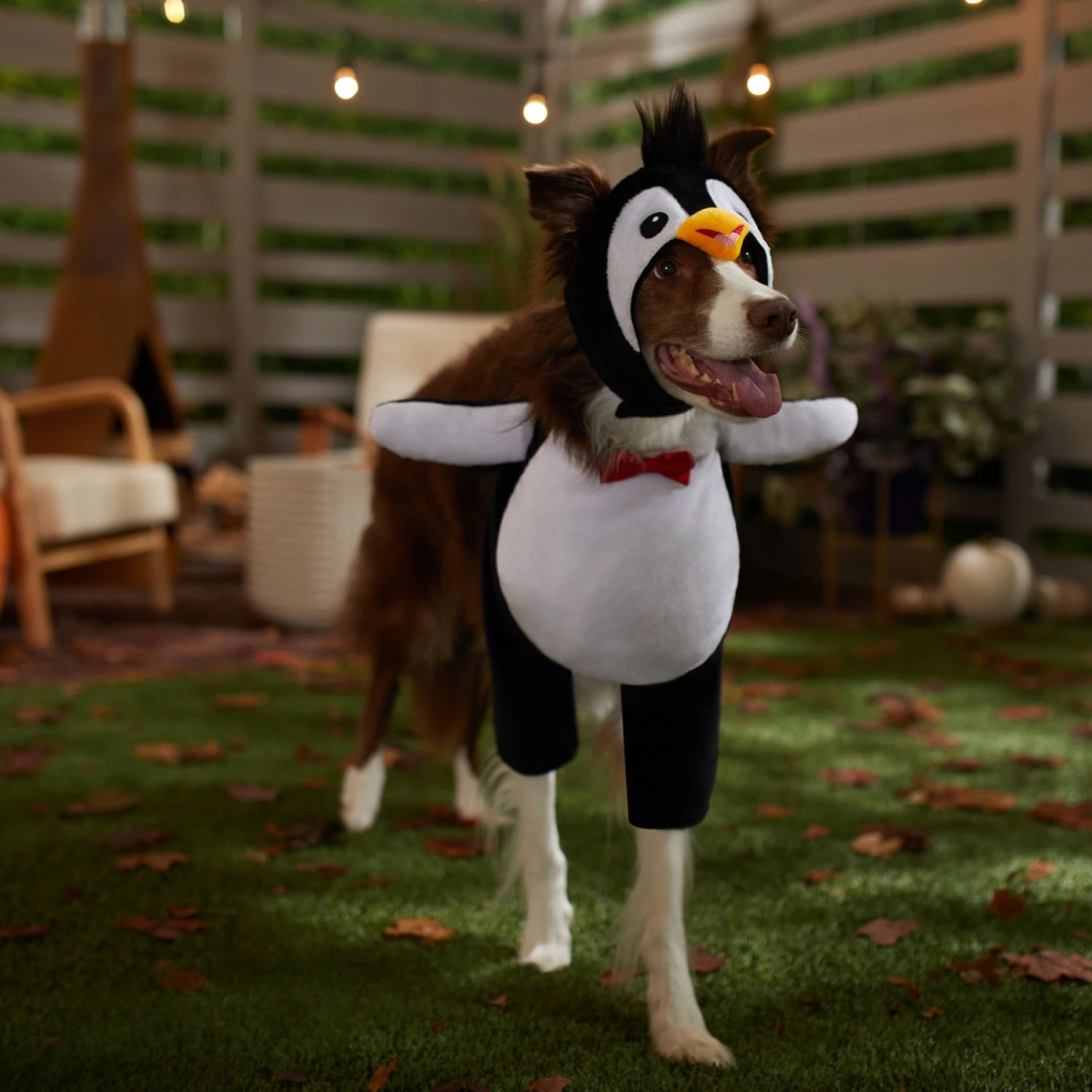 Frisco Front Walking Penguin Dog & Cat Costume 9 Frisco Front Walking Penguin Dog & Cat Costume - Image 7