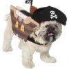 Frisco Pirate Ship Dog & Cat Costume 2 Frisco Pirate Ship Dog & Cat Costume -Chewy 335078 MAIN. AC SS1800 V1658346913