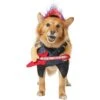 Frisco Front Walking Punk Rocker Dog & Cat Costume 1 Frisco Front Walking Punk Rocker Dog & Cat Costume -Chewy 335087 MAIN. AC SS1800 V1658349621