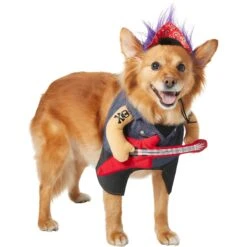 Frisco Front Walking Punk Rocker Dog & Cat Costume 13 Frisco Front Walking Punk Rocker Dog & Cat Costume -Chewy 335087 PT3. AC SS1800 V1658346323