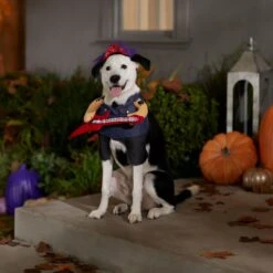 Frisco Front Walking Punk Rocker Dog & Cat Costume 16 Frisco Front Walking Punk Rocker Dog & Cat Costume -Chewy 335087 PT7. AC SS1800 V1657732627