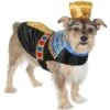 Frisco Royal Pharoah Dog & Cat Costume 1 Frisco Royal Pharoah Dog & Cat Costume -Chewy 335114 MAIN. AC SS1800 V1658346560