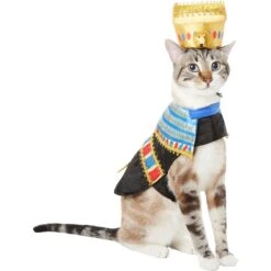 Frisco Royal Pharoah Dog & Cat Costume 12 Frisco Royal Pharoah Dog & Cat Costume -Chewy 335114 PT2. AC SS1800 V1658349300