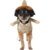 Frisco Front Walking Scarecrow Dog & Cat Costume -Chewy 335135 MAIN. AC SS1800 V1658349298
