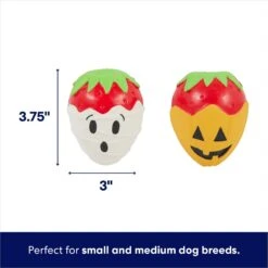 Frisco Halloween Chocolate Covered Strawberries Latex Squeaky Dog Toy -Chewy 344043 PT1. AC SS1800 V1689878006