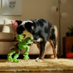 Frisco Halloween Goblin Plush With Rope Squeaky Dog Toy 9 Frisco Halloween Goblin Plush With Rope Squeaky Dog Toy -Chewy 344132 PT3. AC SS1800 V1657657042