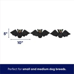 Frisco Halloween Haunted House Hide & Seek Puzzle Plush Squeaky Dog Toy 10 Frisco Halloween Haunted House Hide & Seek Puzzle Plush Squeaky Dog Toy -Chewy 344136 PT2. AC SS1800 V1690911191