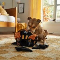 Frisco Halloween Haunted House Hide & Seek Puzzle Plush Squeaky Dog Toy 11 Frisco Halloween Haunted House Hide & Seek Puzzle Plush Squeaky Dog Toy -Chewy 344136 PT3. AC SS1800 V1657657042