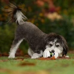 Frisco Halloween Mummy Latex Squeaky Dog Toy 8 Frisco Halloween Mummy Latex Squeaky Dog Toy -Chewy 344140 PT3. AC SS1800 V1657657042