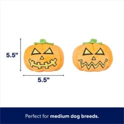Frisco Halloween Scary Jack-O-Lantern Plush Squeaky Dog Toy 8 Frisco Halloween Scary Jack-O-Lantern Plush Squeaky Dog Toy -Chewy 344158 PT1. AC SS1800 V1689877633