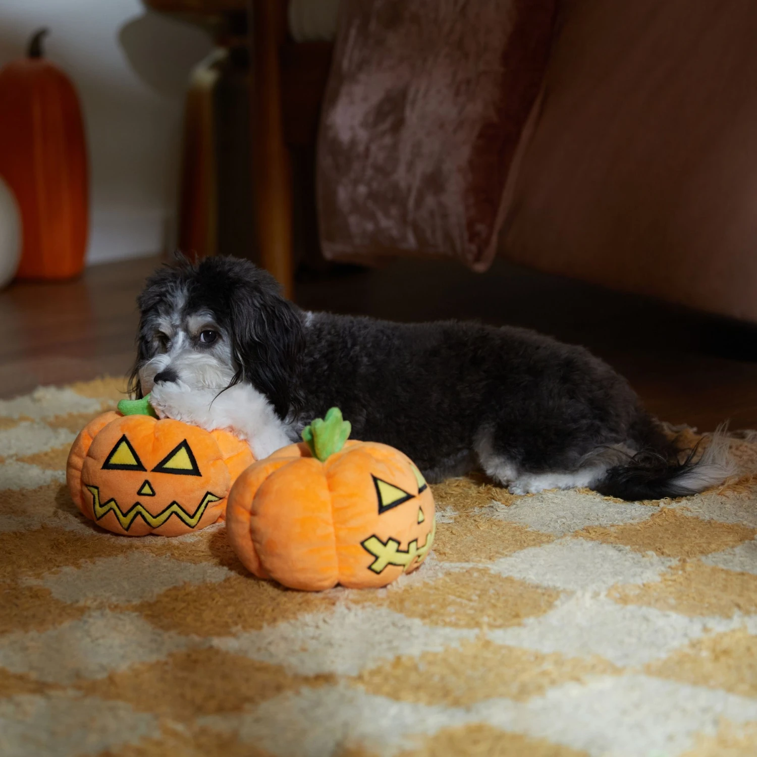 Frisco Halloween Scary Jack-O-Lantern Plush Squeaky Dog Toy 5 Frisco Halloween Scary Jack-O-Lantern Plush Squeaky Dog Toy - Image 3