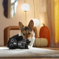 Frisco Halloween Spooky Owl Plush Squeaky Dog Toy -Chewy 344162 PT3. AC SS1800 V1657657049