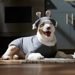 Frisco Bunny Hooded Dog & Cat Sweater 14 Frisco Bunny Hooded Dog & Cat Sweater -Chewy 353571 PT6. AC SS1800 V1660749538