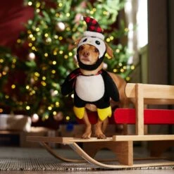 Frisco Front Walking Holiday Penguin Dog & Cat Costume 17 Frisco Front Walking Holiday Penguin Dog & Cat Costume -Chewy 358020 PT7. AC SS1800 V1661798757