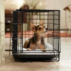 Frisco Adjustable Electrical Dog & Cat Heated Crate Mat With Timer 14 Frisco Adjustable Electrical Dog & Cat Heated Crate Mat With Timer -Chewy 358546 PT5. AC SS1800 V1662500981