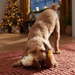 Frisco Holiday Festive Owl Plush Squeaky Dog Toy 8 Frisco Holiday Festive Owl Plush Squeaky Dog Toy -Chewy 360919 PT3. AC SS1800 V1661874361