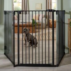 Frisco Steel 3-Panel Configurable Gate, 41-in Height -Chewy 361648 PT4. AC SS1800 V1659972923