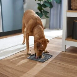 Frisco Non-skid Square Silicone Dog & Cat Lick Mat 10 Frisco Non-skid Square Silicone Dog & Cat Lick Mat -Chewy 363402 PT2. AC SS1800 V1668118082