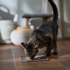 Frisco Non-skid Square Silicone Dog & Cat Lick Mat 11 Frisco Non-skid Square Silicone Dog & Cat Lick Mat -Chewy 363402 PT3. AC SS1800 V1665170734