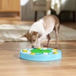 Frisco Seek & Discover Interactive Puzzle Dog Toy, Moderate 14 Frisco Seek & Discover Interactive Puzzle Dog Toy, Moderate -Chewy 506250 PT5. AC SS1800 V1674664929