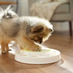 Frisco Tiered Cake Interactive Puzzle Dog Toy, Easy 14 Frisco Tiered Cake Interactive Puzzle Dog Toy, Easy -Chewy 506346 PT5. AC SS1800 V1674666566