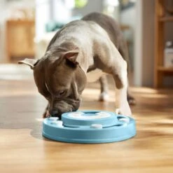 Frisco Two Tier Interactive Puzzle Dog Toy, Easy 14 Frisco Two Tier Interactive Puzzle Dog Toy, Easy -Chewy 506370 PT5. AC SS1800 V1674671566