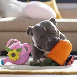 Frisco Spring Potted Plant And Watering Can Plush Squeaky Dog Toy -Chewy 541494 PT4. AC SS1800 V1702500565
