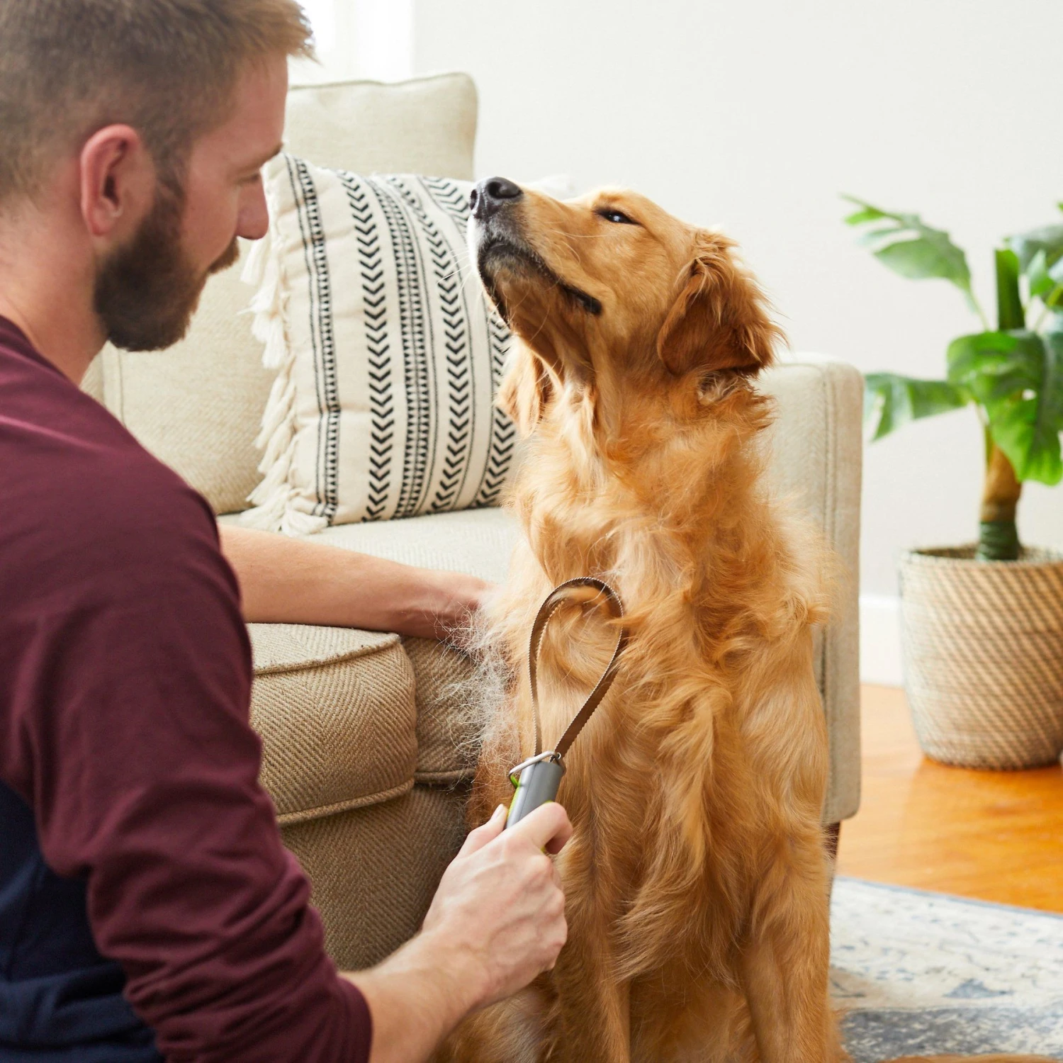 TropiClean Lime & Cocoa Butter Deshedding Dog Conditioner & Frisco Shedding Blade Dog Brush, One Size 10 TropiClean Lime & Cocoa Butter Deshedding Dog Conditioner & Frisco Shedding Blade Dog Brush, One Size - Image 9