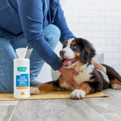 FURminator Long Hair Dog Deshedding Tool & Frisco Shed Reducing Waterless Grooming Wipes For Dogs & Cats, 50 Count 15 FURminator Long Hair Dog Deshedding Tool & Frisco Shed Reducing Waterless Grooming Wipes For Dogs & Cats, 50 Count -Chewy 575134 PT6. AC SS1800 V1657660396