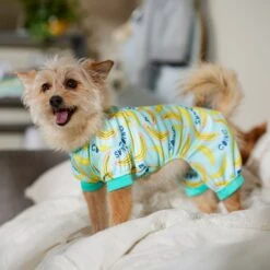 Frisco Go Bananas Dog & Cat Jersey PJs -Chewy 608998 PT6. AC SS1800 V1676642341