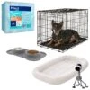 Frisco Fold & Carry Single Door Collapsible Wire Dog Crate + 4 Items 2 Frisco Fold & Carry Single Door Collapsible Wire Dog Crate + 4 Items -Chewy 623718 MAIN. AC SS1800 V1681229005