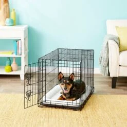 Frisco Fold & Carry Single Door Collapsible Wire Dog Crate + 4 Items -Chewy 623718 PT1. AC SS1800 V1662738090