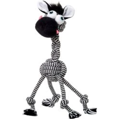 Frisco Fold & Carry Single Door Collapsible Wire Dog Crate + 4 Items -Chewy 623718 PT7. AC SS1800 V1662734896