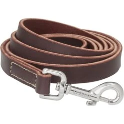 Frisco Top Grain Leather Leash + 4 Items 14 Frisco Top Grain Leather Leash + 4 Items -Chewy 630958 PT3. AC SS1800 V1662739527