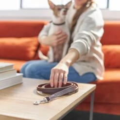 Frisco Top Grain Leather Leash + 4 Items 15 Frisco Top Grain Leather Leash + 4 Items -Chewy 630958 PT4. AC SS1800 V1662742186