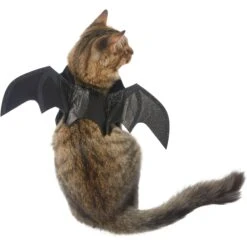 Frisco Bat Wings Dog & Cat Costume & Buckle-Down Batman Shield Polyester Dog Collar 13 Frisco Bat Wings Dog & Cat Costume & Buckle-Down Batman Shield Polyester Dog Collar -Chewy 638566 PT2. AC SS1800 V1663254513