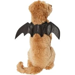 Frisco Bat Wings Dog & Cat Costume & Buckle-Down Batman Shield Polyester Dog Collar 14 Frisco Bat Wings Dog & Cat Costume & Buckle-Down Batman Shield Polyester Dog Collar -Chewy 638566 PT3. AC SS1800 V1663254451