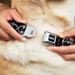 Frisco Bat Wings Dog & Cat Costume & Buckle-Down Batman Shield Polyester Dog Collar 17 Frisco Bat Wings Dog & Cat Costume & Buckle-Down Batman Shield Polyester Dog Collar -Chewy 638566 PT6. AC SS1800 V1663254111