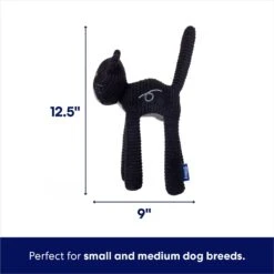 Frisco Halloween Cutie Black Cat Plush Squeaky Dog Toy -Chewy 668006 PT1. AC SS1800 V1689350658
