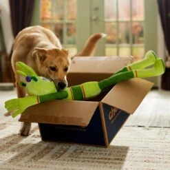 Frisco Halloween Alien Wagazoo Plush Squeaky Dog Toy, Extra Long 10 Frisco Halloween Alien Wagazoo Plush Squeaky Dog Toy, Extra Long -Chewy 668134 PT3. AC SS1800 V1689282428