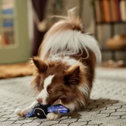 Frisco Halloween Bat Fetch Squeaky Tennis Ball Dog Toy 10 Frisco Halloween Bat Fetch Squeaky Tennis Ball Dog Toy -Chewy 668278 PT3. AC SS1800 V1689350166