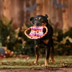 Frisco Halloween Ghost Swirl Fetch Flyer Dog Toy 8 Frisco Halloween Ghost Swirl Fetch Flyer Dog Toy -Chewy 668294 PT3. AC SS1800 V1689278363