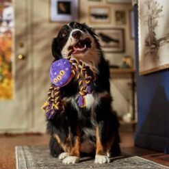 Frisco Halloween Magical Spider Plush With Rope Squeaky Dog Toy 10 Frisco Halloween Magical Spider Plush With Rope Squeaky Dog Toy -Chewy 668310 PT3. AC SS1800 V1690571954