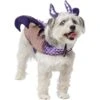 Frisco Dragon Dog & Cat Costume Accessory 2 Frisco Dragon Dog & Cat Costume Accessory -Chewy 706582 MAIN. AC SS1800 V1689271214