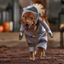 Frisco Front Walking LED Astronaut Dog & Cat Costume 16 Frisco Front Walking LED Astronaut Dog & Cat Costume -Chewy 707630 PT7. AC SS1800 V1689278700