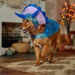 Frisco Dinosaur Dog & Cat Costume 14 Frisco Dinosaur Dog & Cat Costume -Chewy 707894 PT7. AC SS1800 V1689350593