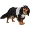Frisco Disco Ball Dog & Cat Costume 2 Frisco Disco Ball Dog & Cat Costume -Chewy 707934 MAIN. AC SS1800 V1689351464